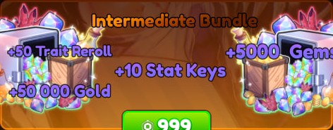 Intermidiate Bundle